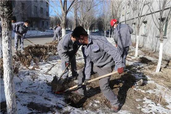 中泰礦冶植樹(shù)綠化現(xiàn)場(chǎng)（楊云 攝）