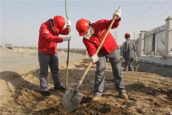 托克遜能化植樹(shù)綠化現(xiàn)場(chǎng)（李天祥 攝）