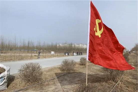 中泰紡織集團(tuán)植樹(shù)綠化現(xiàn)場(chǎng) （沈智芳攝）